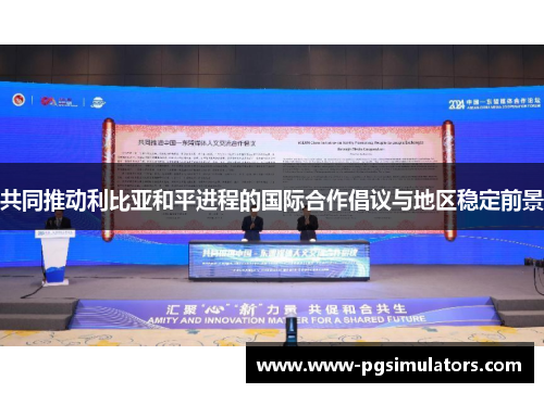 共同推动利比亚和平进程的国际合作倡议与地区稳定前景