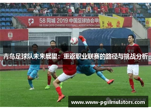 青岛足球队未来展望：重返职业联赛的路径与挑战分析