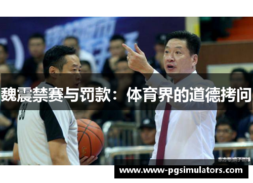 魏震禁赛与罚款：体育界的道德拷问
